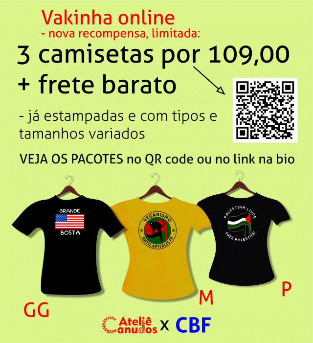 3 camisetas já prontas - estampadas