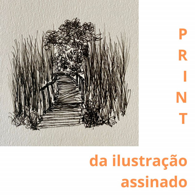 Entre leitura e ilustração
