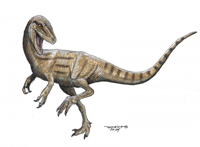 Santanaraptor