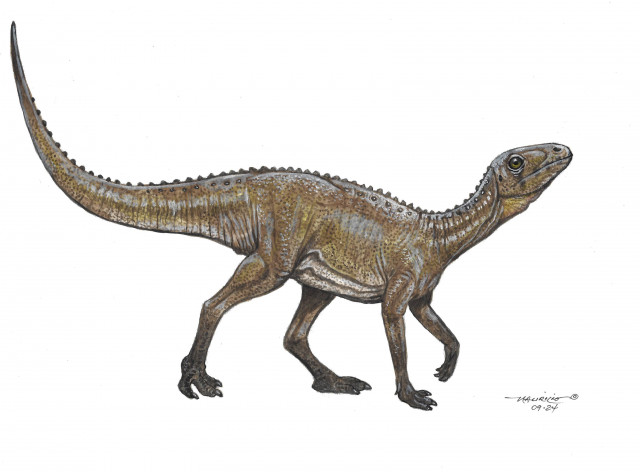 Sacisaurus