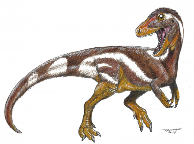 Aratasaurus