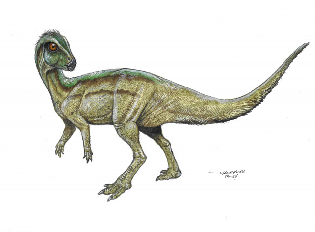 Tietasaura