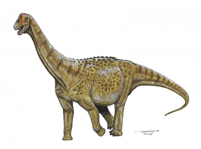Brasilotitan