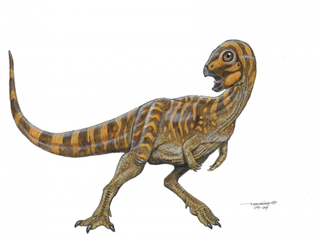 Berthasaura