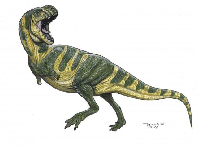 Pycnonemosaurus