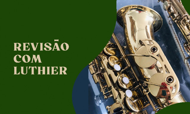 Comigo-ninguém-pode – O apoio militante