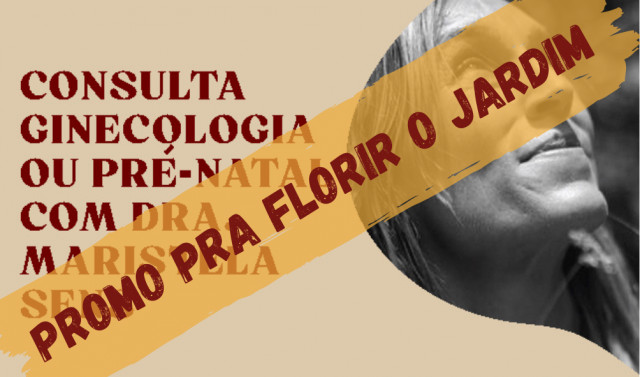 Samambaia – O apoio exuberante
