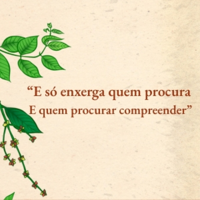 Exclusividade Audição (On-line)