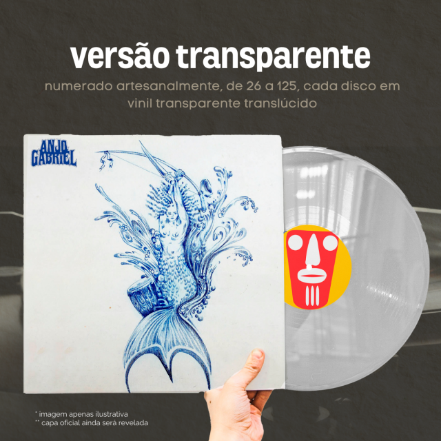 Vinil Transparente (LEIA A DESCRIÇÃO)