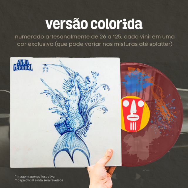 LOTE 1 - Vinil Colorido