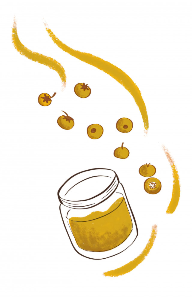 Sementinha do Cerrado