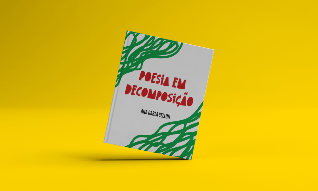 Livro de Ana Carla Bellon