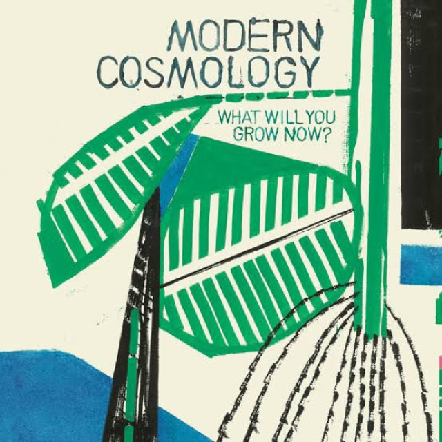 Vinil Modern Cosmology