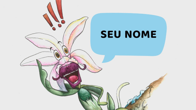 Apoio semeadura!