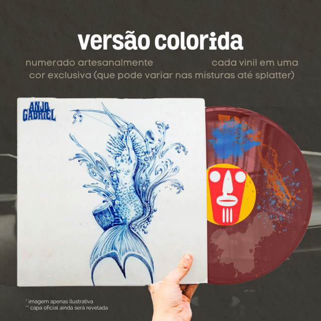 LOTE 1 - Vinil Colorido