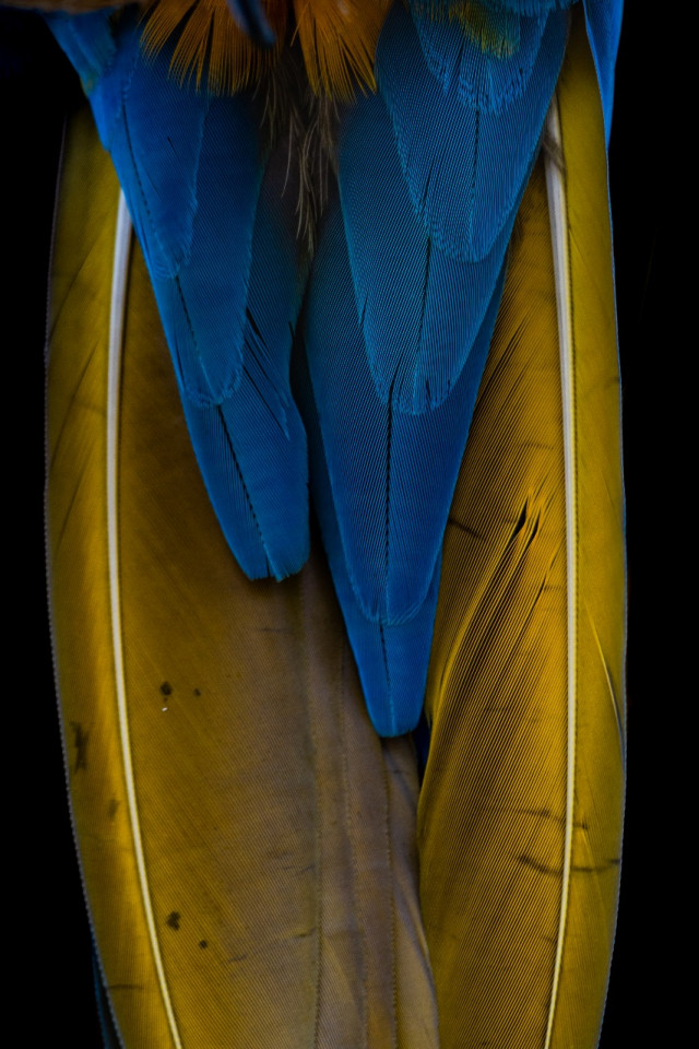 Faixa 7