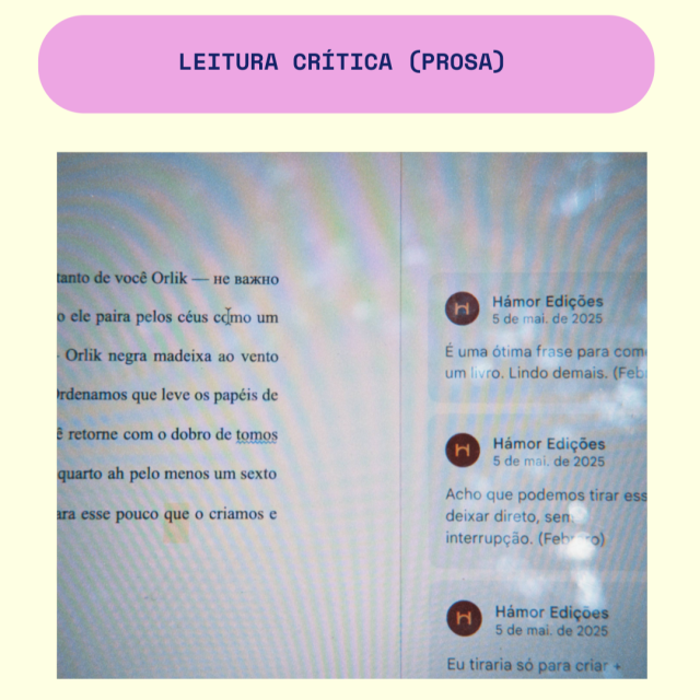 leitura crítica da editora (prosa)